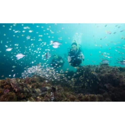 Propulsor Yamaha Seascooter RDS280 -Piscinas Artículos Tienda propulsor yamaha seascooter rds280 buceadores